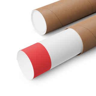 Anti Woke Zone Poster