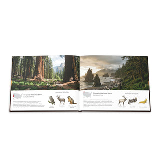 America's National Parks Hardcover Coffee Table Book