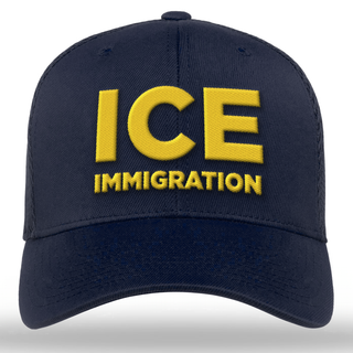 ICE Immigration Embroidered Hat