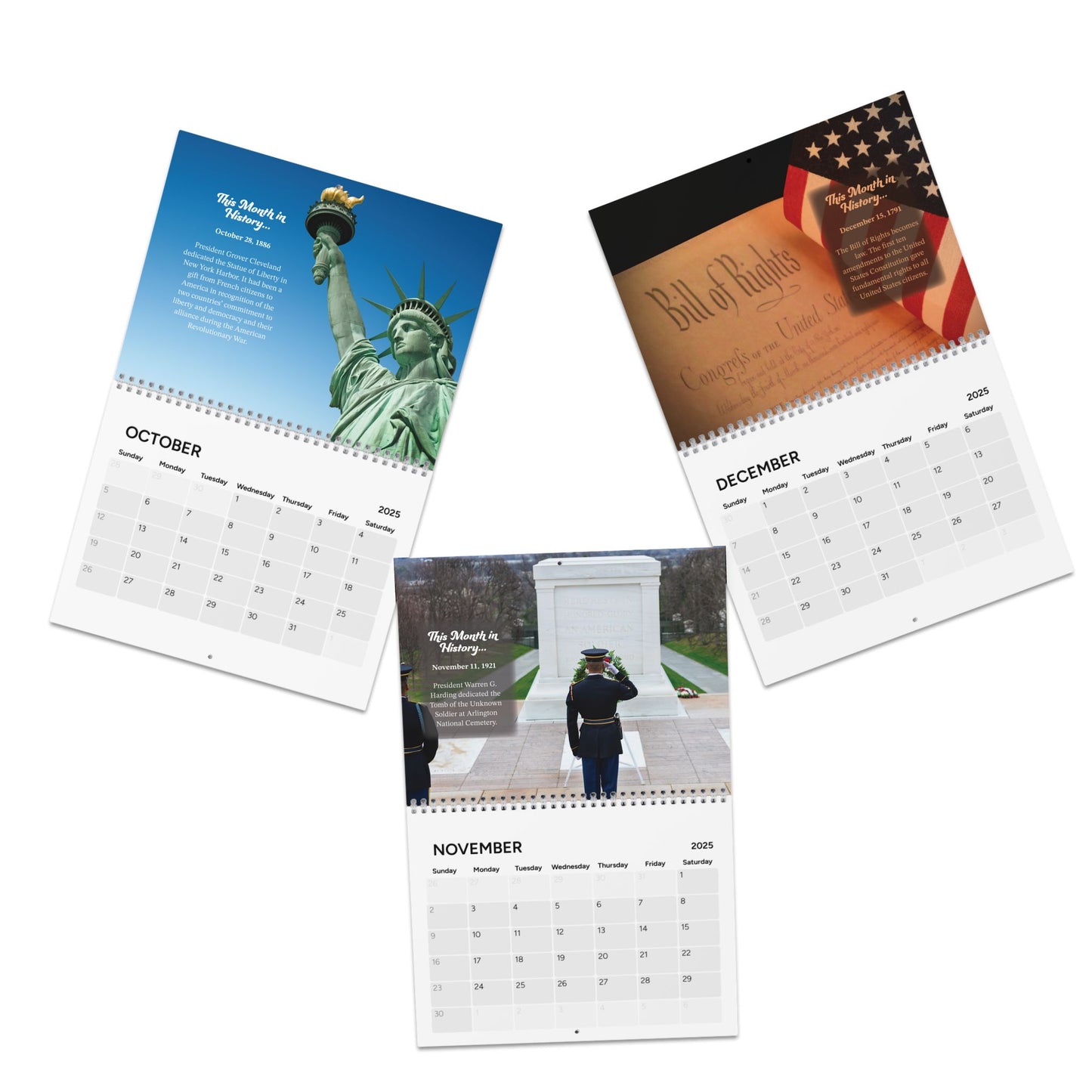 2025 Wall Calendar - This Month in American History