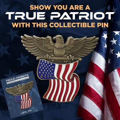 Eagle Flag Enamel Pin