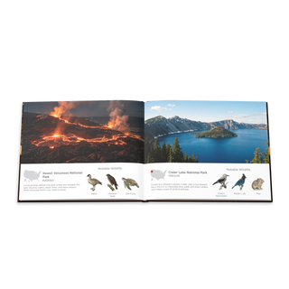 America's National Parks Hardcover Coffee Table Book