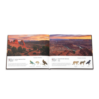 America's National Parks Hardcover Coffee Table Book