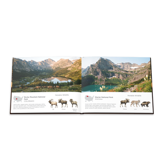 America's National Parks Hardcover Coffee Table Book