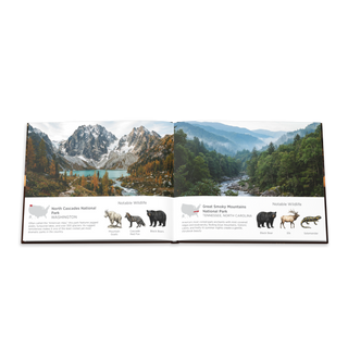 America's National Parks Hardcover Coffee Table Book