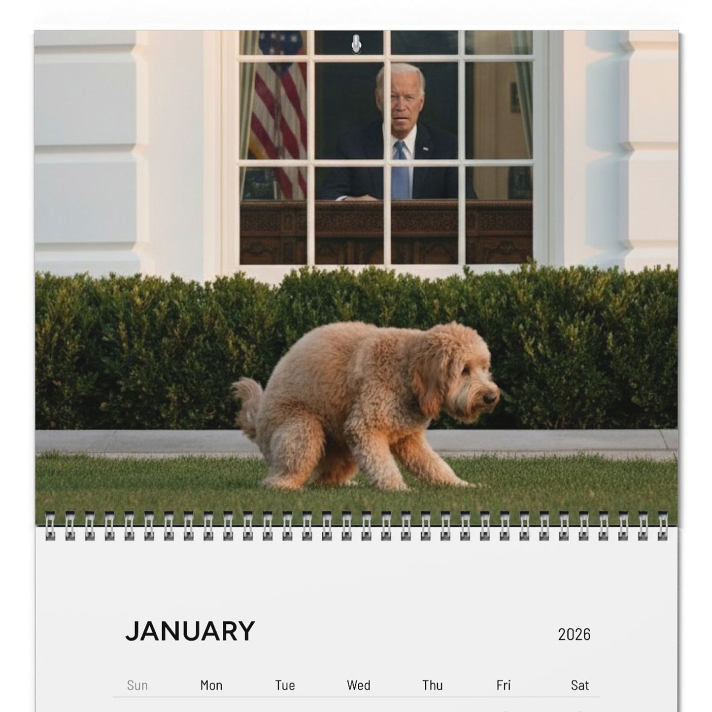 Pooping Pooches Owning Liberals 2026 Calendar - Funny Calendar & White Elephant Gag Gift