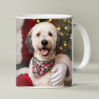 Add-on: matching pet portrait mug