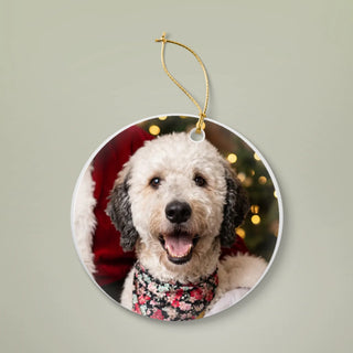 Santa's Favorite custom dog Christmas ornament: your dog close up in Santa's lap