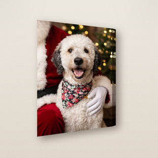 Santa's Favorite pet portrait canvas, gallery-wrapped side view